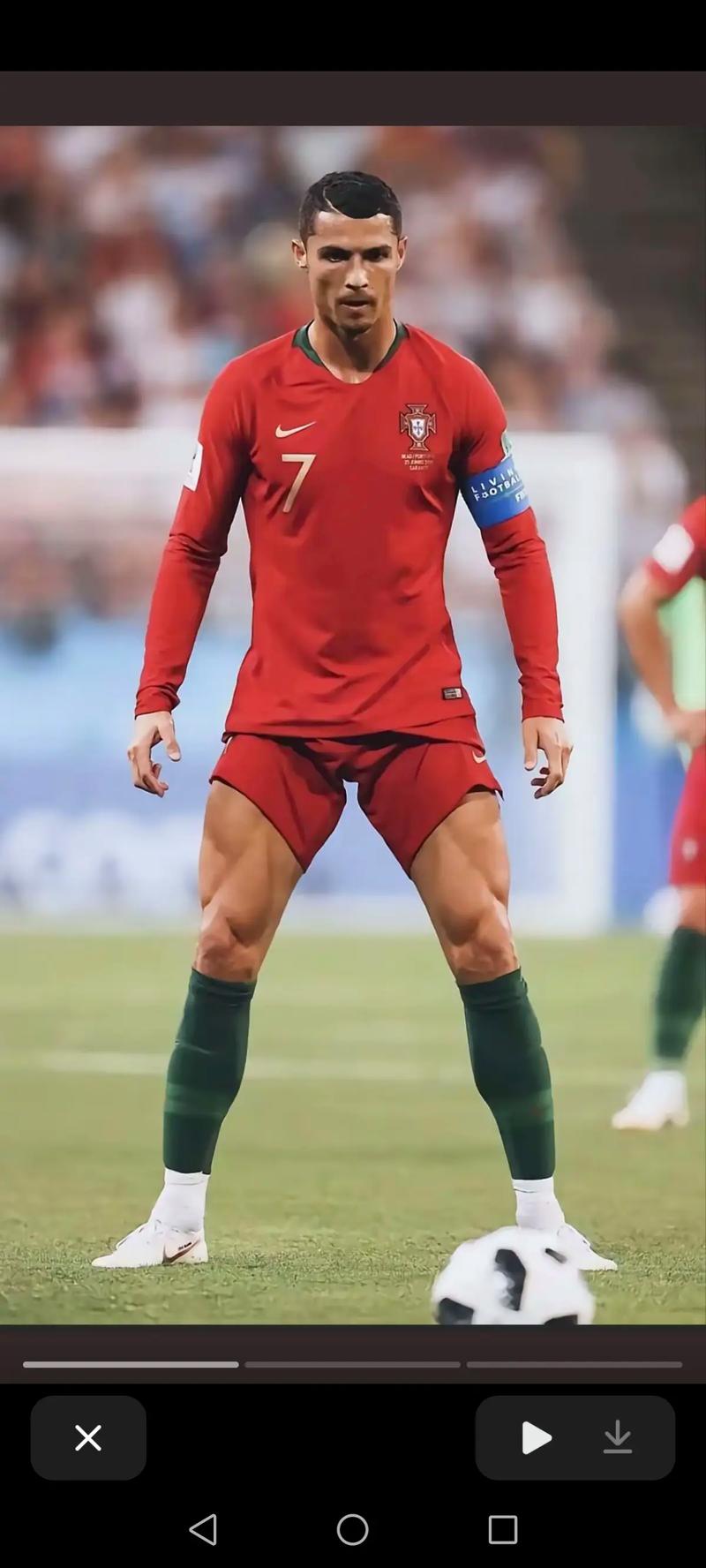 把压